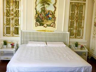 Quận 1, mặt tiền, biệt thự dát vàng, nở hậu, 350m2, vừa ở, vừa kinh doanh cho thuê văn phòng