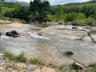 Bán vườn sầu riêng 2000m2. có sẵn 300 thổ cư. sau giáp suối khao . ngay khu du lịch suối đá trải