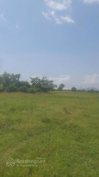 Chính chủ bán 1,5 ha, trong đó có 632 m2 đất ở tại xã hàm thuận bắc  tỉnh lâm đồng. giá 4 tỷ