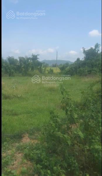 Chính chủ bán 1,5 ha, trong đó có 632 m2 đất ở tại xã hàm thuận bắc  tỉnh lâm đồng. giá 4 tỷ