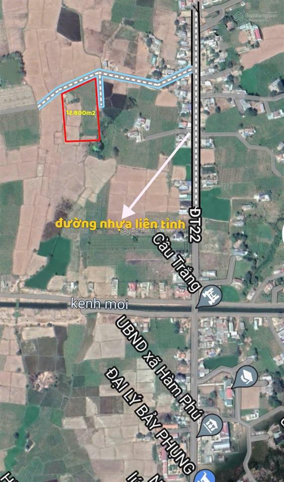 Chính chủ bán 1,5 ha, trong đó có 632 m2 đất ở tại xã hàm thuận bắc  tỉnh lâm đồng. giá 4 tỷ