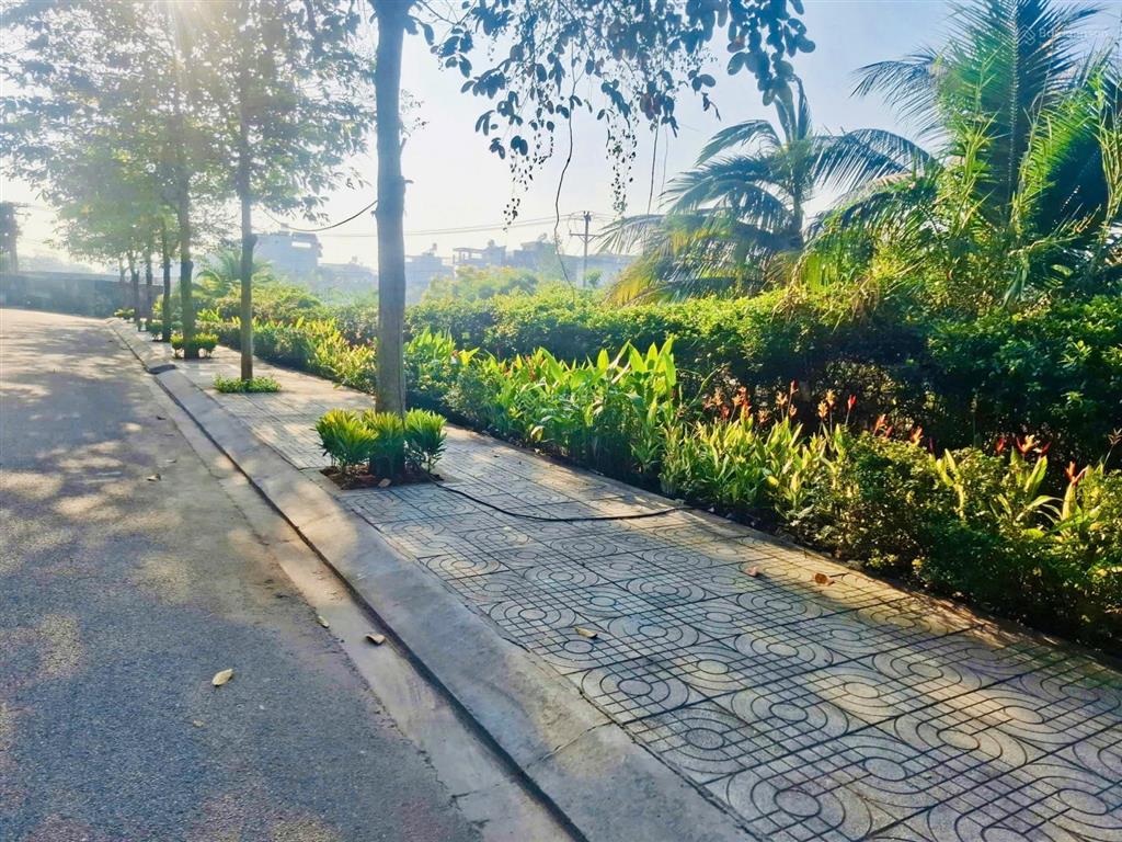 The meadow nhà phố n6.x dt 140m2/270m2 có 3 lịch tt siêu giãn
