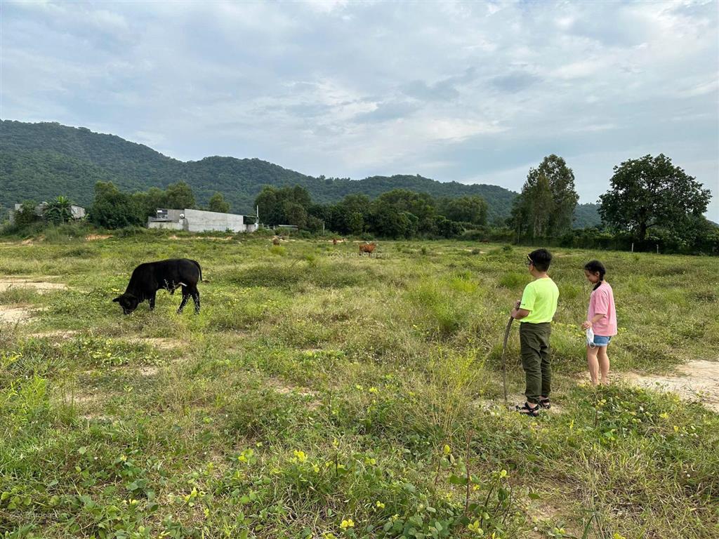 Chính chủ bán nhanh 29.497m2 đất mặt tiền đường phước bình, long thành, đồng nai  5 triệu/m2 tl