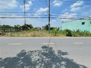 Tân thạnh đông củ chi bán 2 lô đất shr. liền nhau mặt tiền kim cương. dt 10x55m nở hâu. tổng 587m