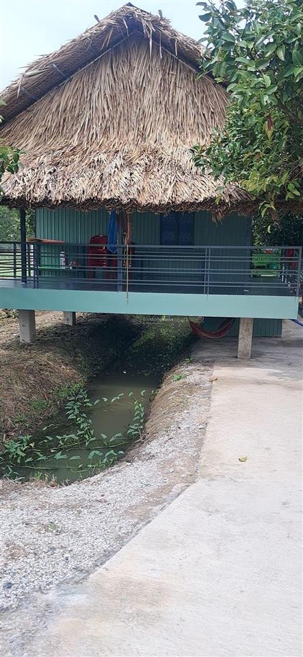 Trung an củ chi nhà vườn mặt tiền sông sài gòn tọa lạc xã trung an củ chi. dt 1925m2 thổ cư 500m2