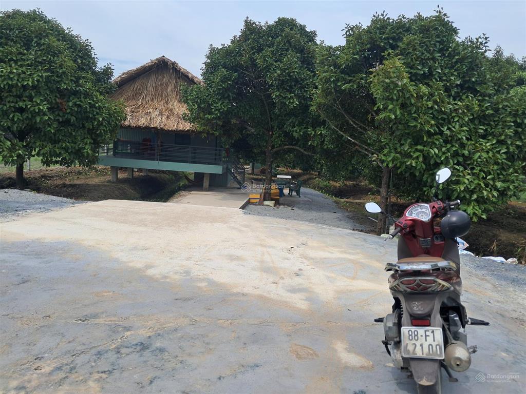 Trung an củ chi nhà vườn mặt tiền sông sài gòn tọa lạc xã trung an củ chi. dt 1925m2 thổ cư 500m2