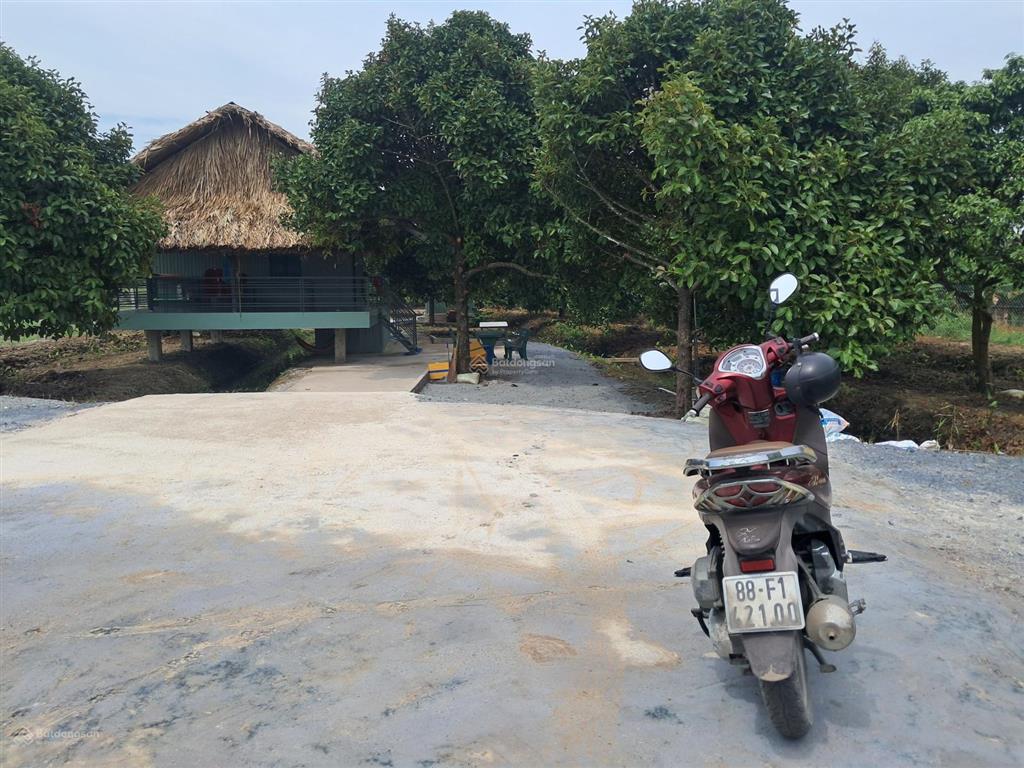 Trung an củ chi nhà vườn mặt tiền sông sài gòn tọa lạc xã trung an củ chi. dt 1925m2 thổ cư 500m2