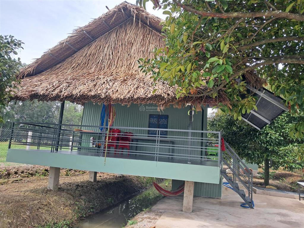 Trung an củ chi nhà vườn mặt tiền sông sài gòn tọa lạc xã trung an củ chi. dt 1925m2 thổ cư 500m2