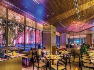 Shophouse mặt sông hàn  giá gốc sun group chỉ 9 tỷ ck 24% tặng gói nội thất vay 30 tháng 0% ls