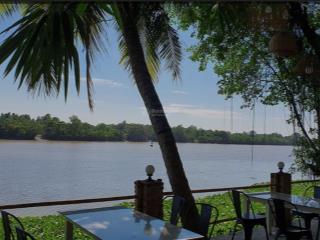 Bán khuôn đất lớn view sông mt long phước, quận 9, ngay vinhome, 9800m2. 300m2 thổ. giá 13triêu/m2