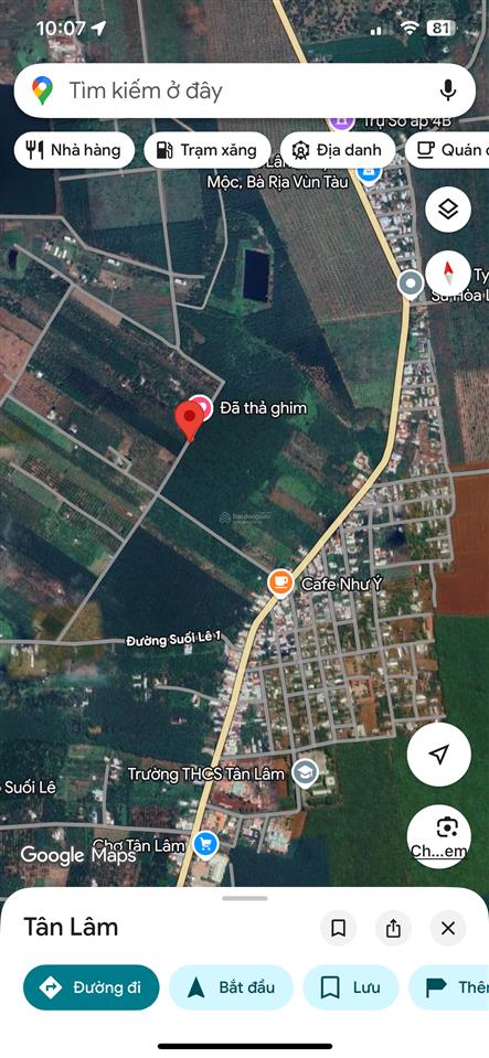 Chuyển nhượng 2,2 ha đất cln tân lâm, xuyên mộc, brvt cũ nay là tphcm