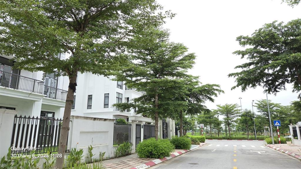 Biệt thự song lập hà nội 268m2, ngay cạnh chung cư, giá 19,5 tỷ. thanh toán giãn nhất hud mê linh