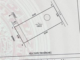 Bán đất mới trúng đấu giá trung thành, hưng đông giá mềm nhất thị trường