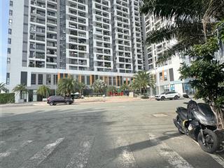 Bán gấp lô đất 80m2 5x16m ngay rio ricca gò cát p phú hữu q9 4,3 tỷ sổ hồng đ9m 0902 966 ***