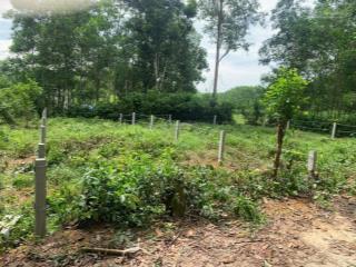 Lô đất bình định bắc thuộc khu dân cư gần nhà dân. gần đường lớn. mua ở hoặc đầu tư lâu dài đều ok