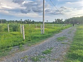 Đất hiệp thạnh chỉ 430 triệu, 6.5x22m  143.5m2 full thổ cư, sổ sẵn, cách kcn hiệp thạnh 1.5 km