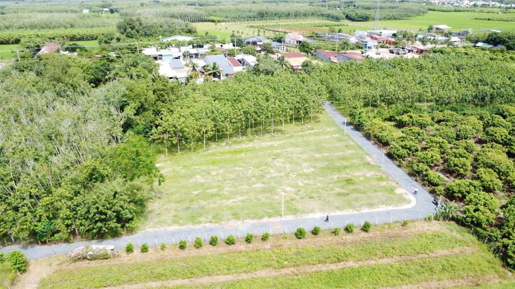 Bán gấp đất nền 175m2 (5x35) xã truông mít, dương minh châu, full thổ, sổ sẵn, giá 399 triệu