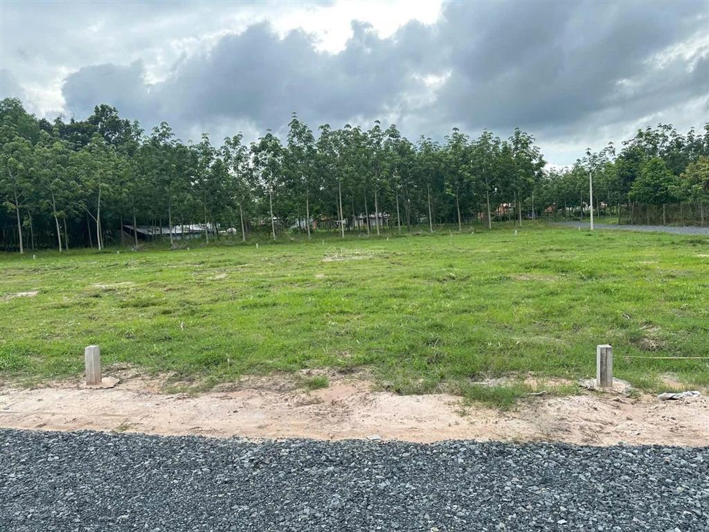 Bán gấp đất nền 175m2 (5x35) xã truông mít, dương minh châu, full thổ, sổ sẵn, giá 399 triệu