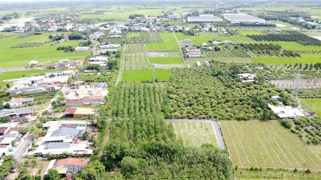 Bán gấp đất nền 175m2 (5x35) xã truông mít, dương minh châu, full thổ, sổ sẵn, giá 399 triệu