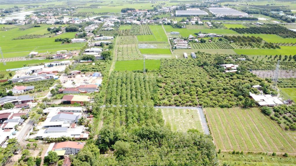 Bán gấp đất nền 175m2 (5x35) xã truông mít, dương minh châu, full thổ, sổ sẵn, giá 399 triệu