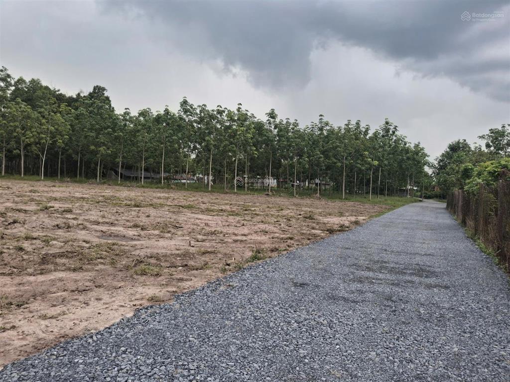 Bán gấp đất nền 175m2 (5x35) xã truông mít, dương minh châu, full thổ, sổ sẵn, giá 399 triệu