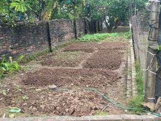 Tráng việt  mê linh diện tích 50m2 full thổ cư, gần cầu thăng long, gần cầu thượng cát