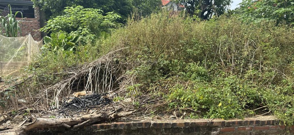 Hơn 2 tỷ xíu thoai 40m ngõ 3m full thổ cư cách khu công nghiệp bắc thăng long 5km  em 037651