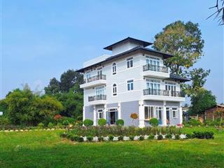 Biệt thự sân vườn mây hồng villa, xây dựng phong cách châu âu, nội ngoại thất cao cấp