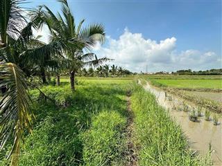 Bđs tại xuân tâm, xuân lộc, đồng nai