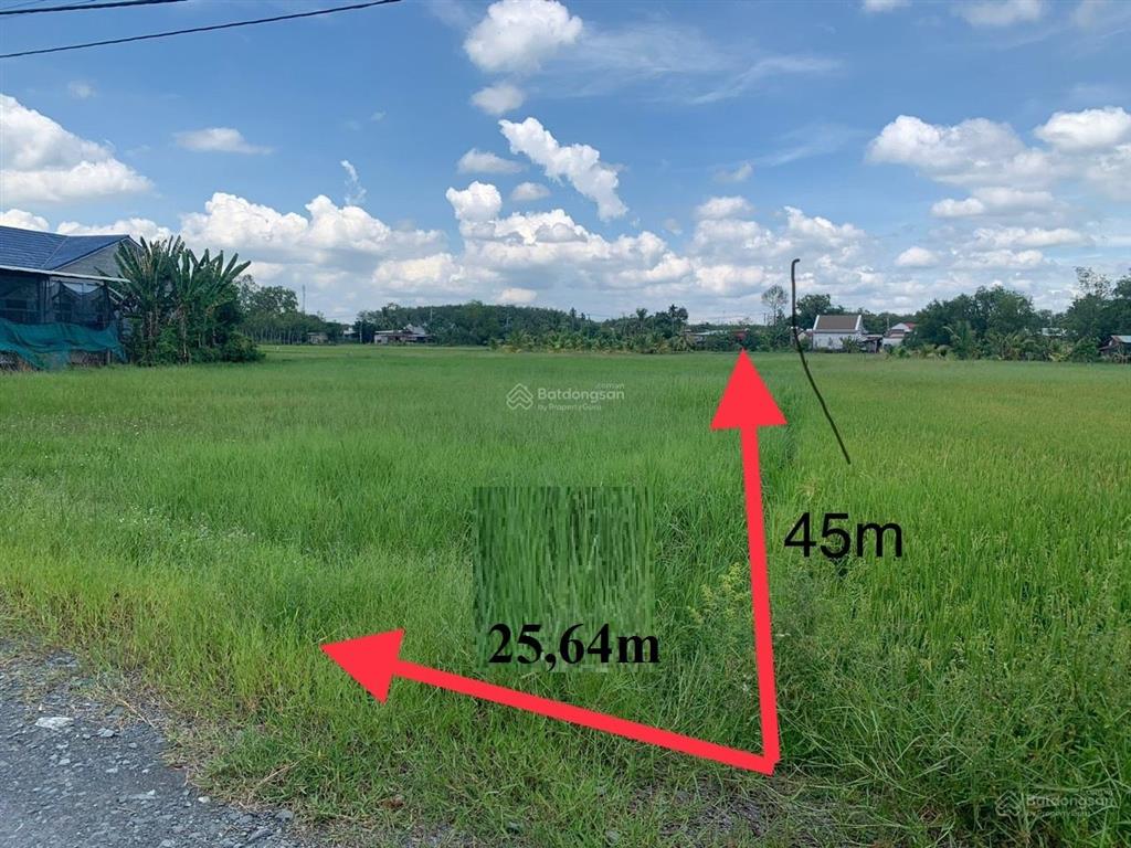 Hot tài sản phù hợp về vườn trồng cây, nuôi cá tại xã trung lập thượng, củ chi, tp. hồ chí minh