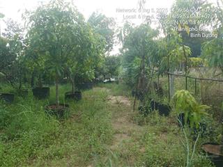 Hot! ncb thanh lý bđs tại thị xã bến cát bình dương (nay là phường hòa lợi  tphcm)