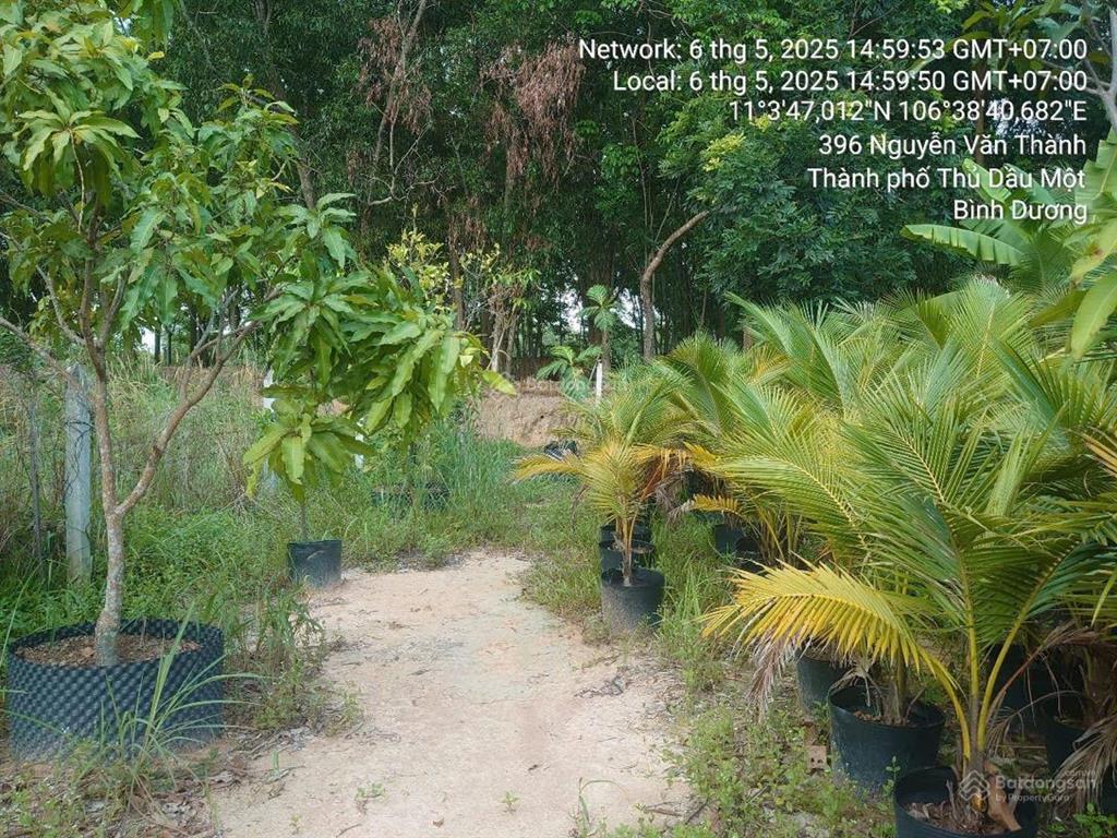 Hot! ncb thanh lý bđs tại thị xã bến cát bình dương (nay là phường hòa lợi  tphcm)