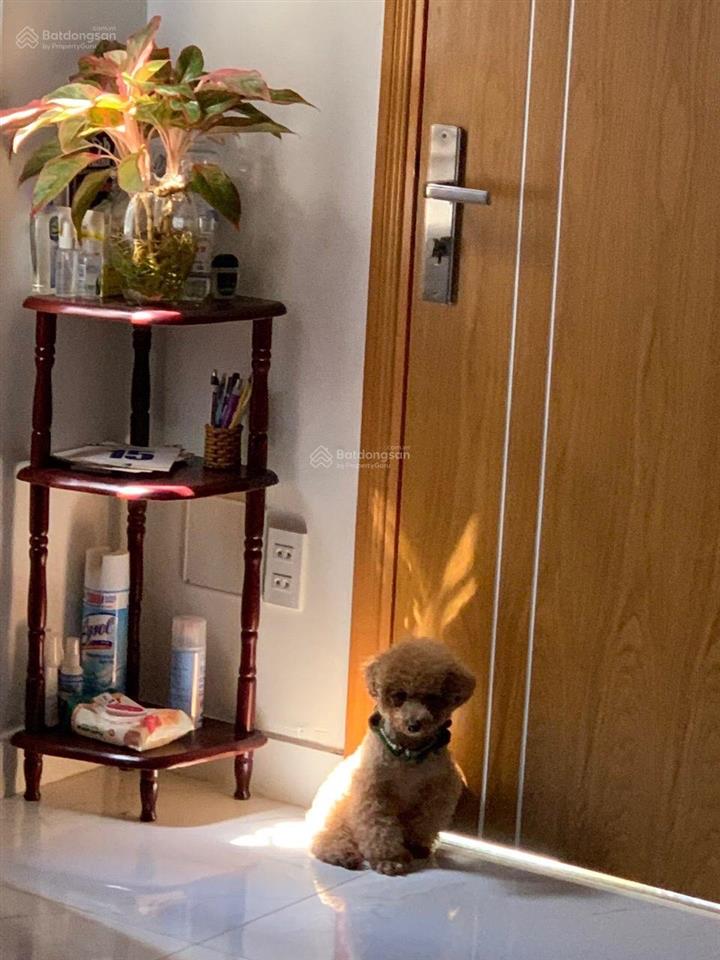 Bán căn hộ cc 5 tầng đường thái thuận an phú quận 2 tp. hcm, dt 77m2, sổ hồng, giá 3,75 tỷ