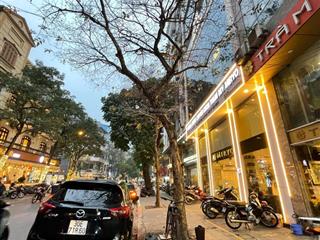Bán nhà mặt phố huế, 130m2, chỉ 58 tỷ có thương lượng, kinh doanh, giá tốt, mặt tiền bề thế