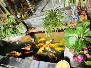 Gấp! Bán biệt thự KĐT chức năng Tây Mỗ, 198m2, nội thất siêu đẹp, giá chỉ 39 tỷ