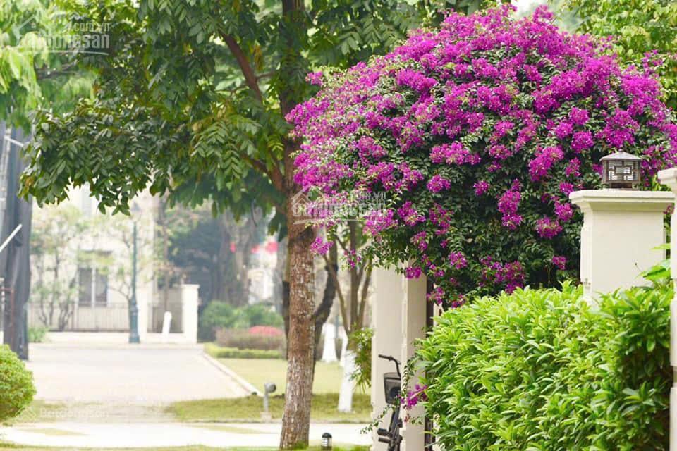 Full quỹ BTLK cần bán Splendora - Phương Viên. Hàng chuẩn, giá đầu tư 