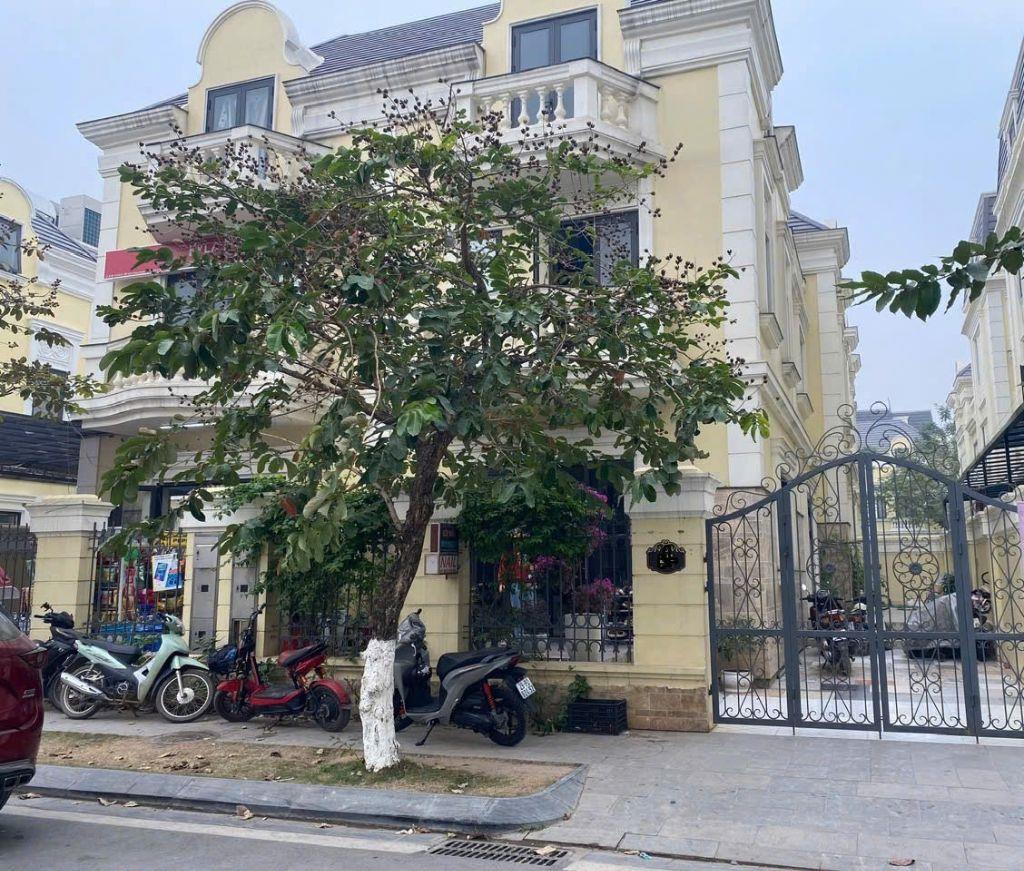 Bán biệt thự 140m2 Vĩ cầm 6, An Lạc Symphony, view chung cư, giá đầu tư chỉ 215tr/m2