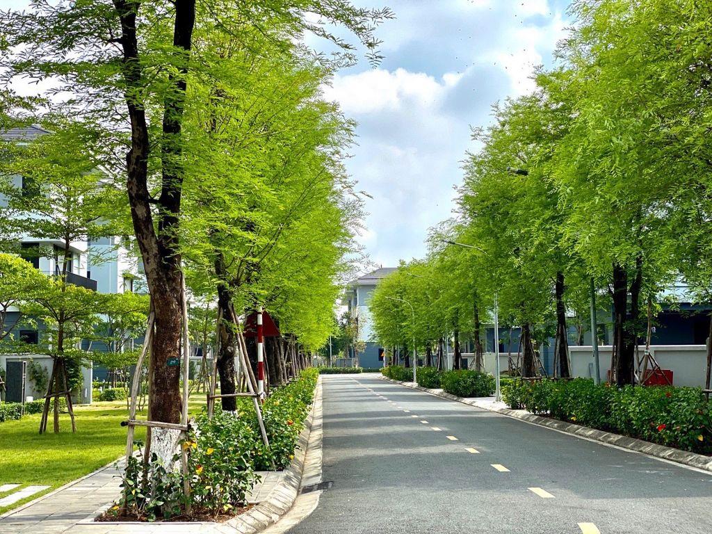 Bán cặp biệt thự 270m2 BT5 Mailand - Splendora, siêu đẹp