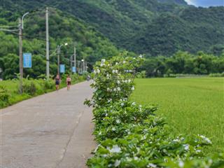 Giá nhỉnh gần 2tỷ . 100m full thổ cư