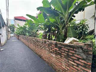 Bán đất việt hưng  chia lô  mặt tiền hoa hậu  giá 130tr/m2  gần bigc long biên