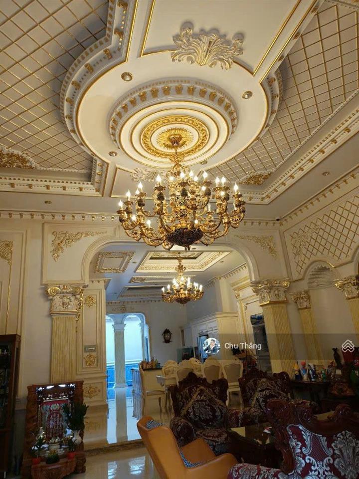 Biệt thự lâu đài duy nhất tại tân bình 2mt hầm 4 lầu thang máy 11x28 giảm ngay 6ty