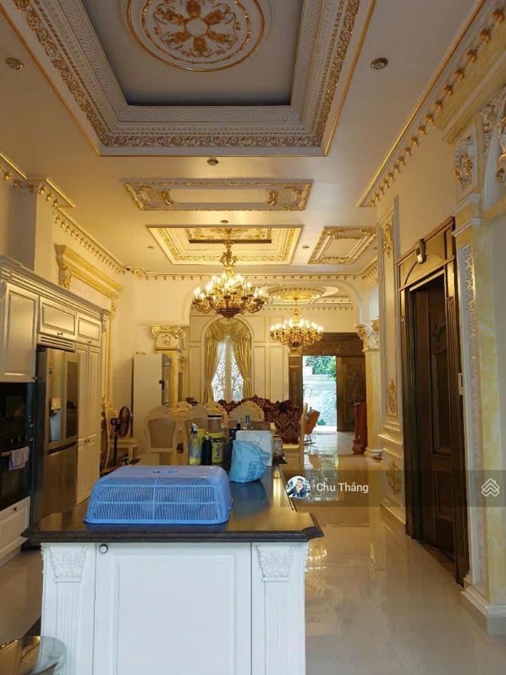 Biệt thự lâu đài duy nhất tại tân bình 2mt hầm 4 lầu thang máy 11x28 giảm ngay 6ty