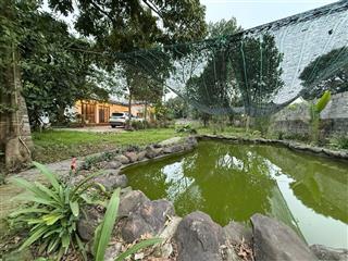 Dt 774m2 có 100m2 thổ cư sẵn khuôn viên nhà vườn chỉ vc xách va ly về ở, cách hn 35km, vị đắc địa