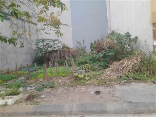 ĐẤT ĐẤU GIÁ BIÊN GIANG KHÔNG QUY HOẠCH 2THOÁNG HƠN 3TỶ