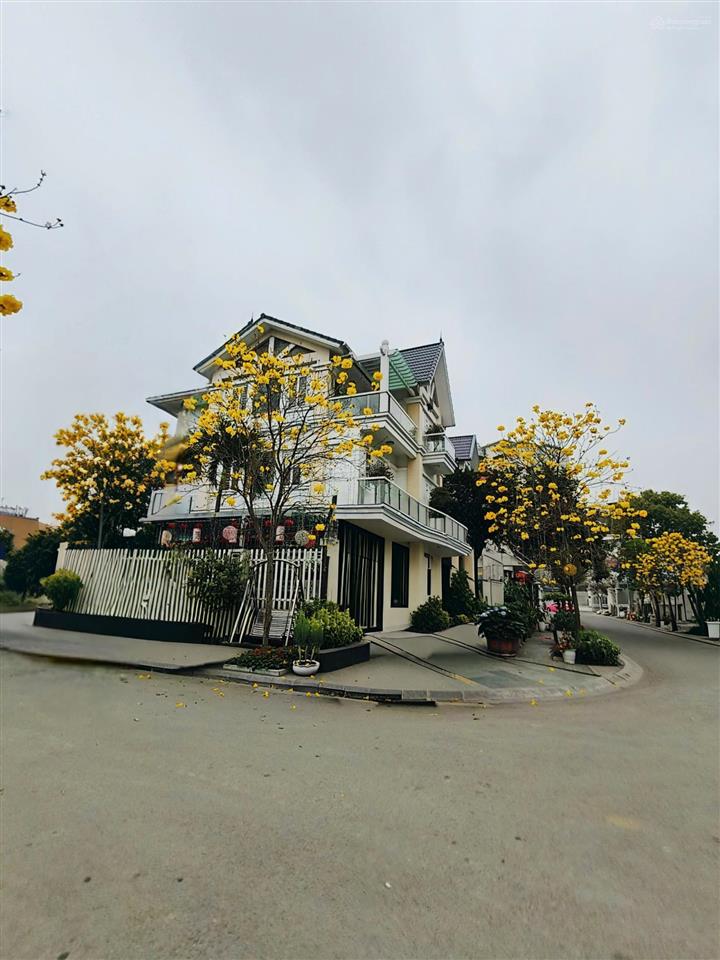 Bán biệt thự 222m2 tại việt hưng, giá siêu hời chỉ 235tr/1 m