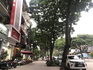 Bán nhà mặt phố vạn phúc, dt 150m2 x 2 tầng, mặt tiền 10m, giá 65 tỷ.