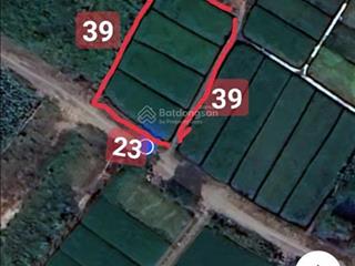 Bán đất đường nhánh hà duy phiên, bình mỹ, củ chi. 23m nở 24m dài 39m. cn 906m2