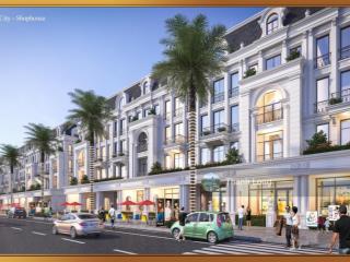 Chuyển định cư mỹ  bán nhanh lk louis city đại mỗ, hoàn thiện đẹp 5*, 100m2. giá tốt 0979 264 ***