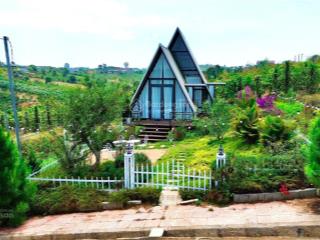 Bán đất nền dự án tại xã lộc quảng, huyện bảo lâm, lâm đồng, 1,7 tỷ, với diện tích 426,8 m2