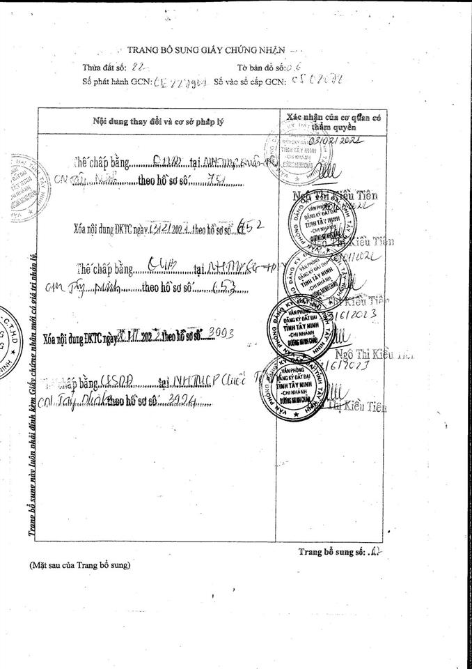 Qsdđ tại thửa đất số 22, tbđ số 6, địa chỉ chà là, huyện dương minh châu, tỉnh tây ninh